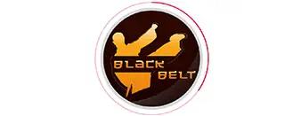 logoBlackBelt